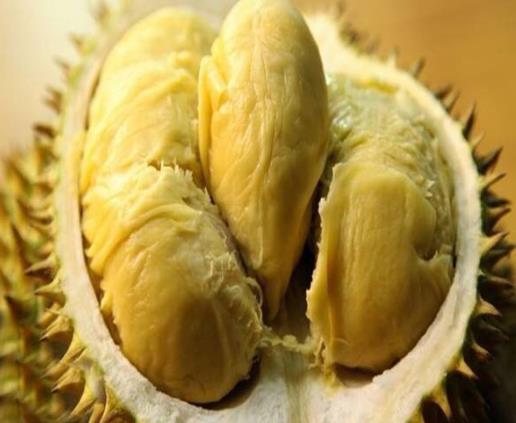 榴蓮可以放多久?榴蓮怎么打開?