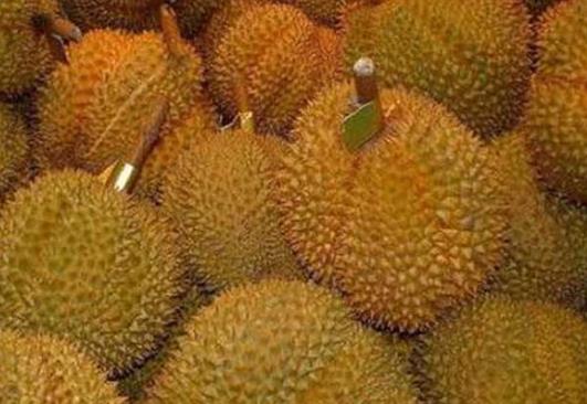 硬的榴蓮可以用鍋蒸熟嗎?榴蓮炸開了會不會有細(xì)菌?