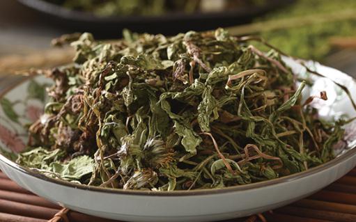 蒲公英茶好還是菊花茶好 蒲公英茶隔夜第二天可以喝嗎