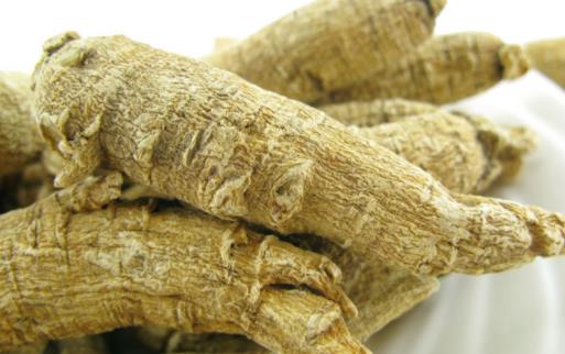 西洋參泡水冷了可以喝嗎 西洋參泡水提神有用嗎