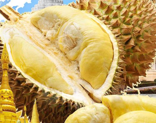 早上吃榴蓮好還是晚上吃榴蓮好?來月經(jīng)吃榴蓮好嗎?