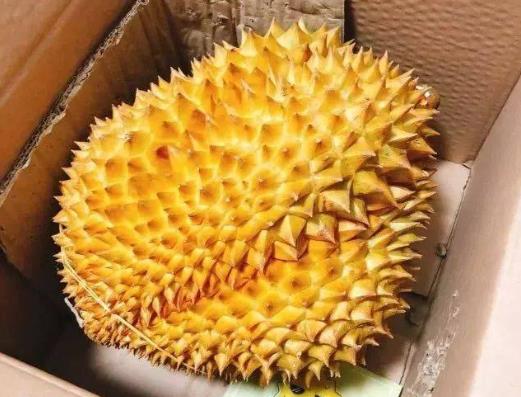 經(jīng)期吃榴蓮能排毒排污血是真的嗎?有青草味道的榴蓮能吃嗎