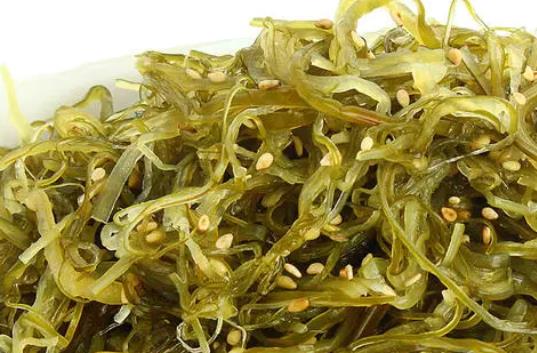 經(jīng)期可以吃裙帶菜嗎?裙帶菜是海白菜嗎?