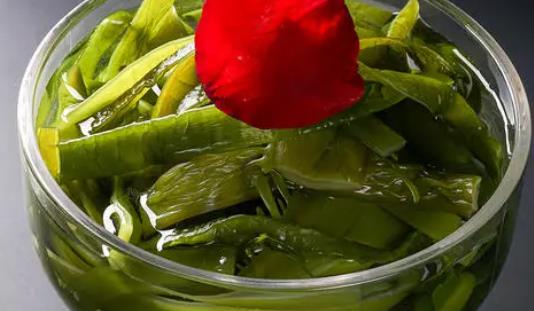 海白菜是什么?寶寶可以吃海白菜嗎?