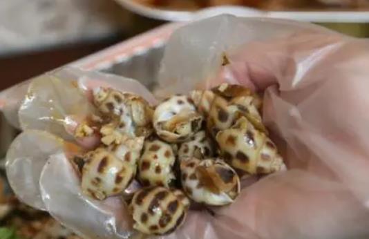 痛風可以吃花螺嗎?花螺可以和韭菜一起吃嗎?