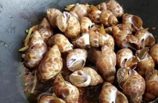 急性腎炎可以吃花螺嗎?冰鎮(zhèn)花螺是生的嗎?