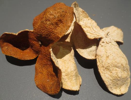 5年以上的陳皮多少錢一斤?女性長(zhǎng)期喝陳皮水有什么好處?