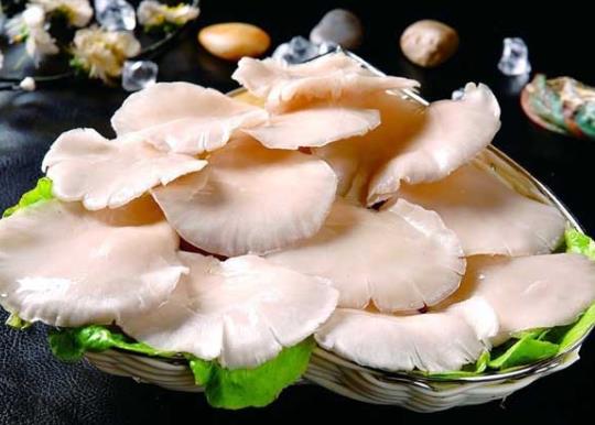 平菇發(fā)黑了還能不能吃?平菇發(fā)黃還能吃嗎?