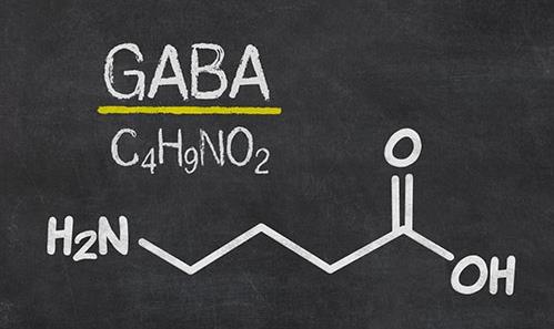 AlleZelle佐律吃出健康來,新資源食品GABA