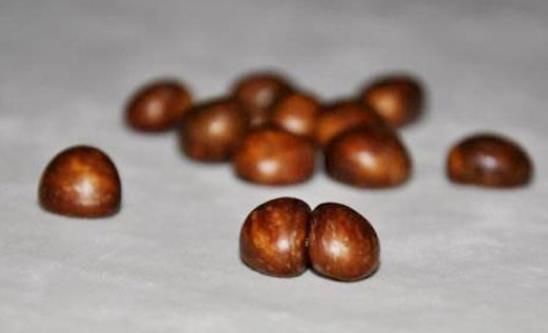 枇杷核為什么不能吃?枇杷核可以煮水喝嗎?
