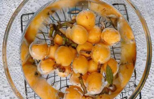 枇杷一天吃多少合適?枇杷吃多了有什么壞處?