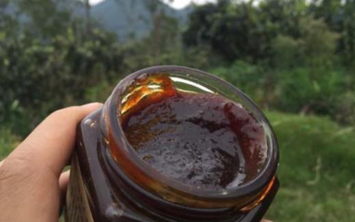 川貝枇杷膏治療哪種咳嗽?服用川貝枇杷膏注意事項有哪些?