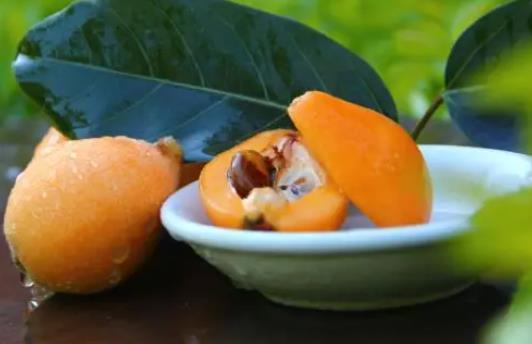 寶寶吃枇杷食譜有哪些?一歲寶寶吃枇杷好嗎?