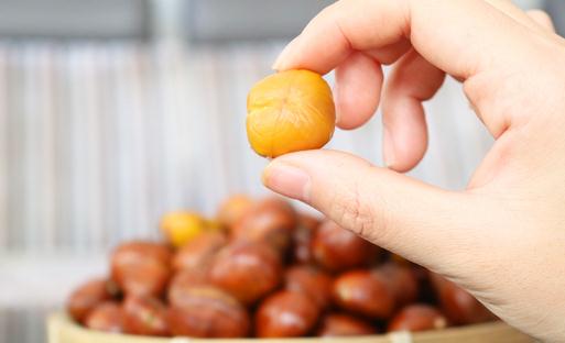糖炒栗子要先煮再炒嗎 糖炒栗子用什么栗子
