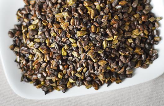 體內(nèi)濕氣重可以喝決明子嗎 決明子茶和苦蕎茶能一起喝嗎
