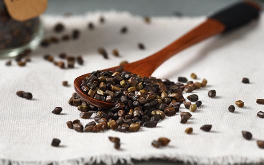 體內(nèi)濕氣重可以喝決明子嗎 決明子茶和苦蕎茶能一起喝嗎