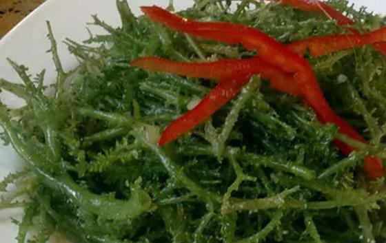 孕婦可以吃鹿角菜嗎?吃鹿角菜又哪些好處?