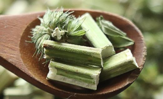 益母草是月經(jīng)前喝還是月經(jīng)后喝 益母草沒來月經(jīng)的時候可以喝嗎
