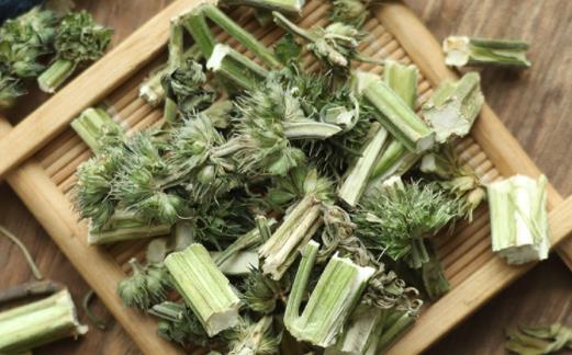 益母草是月經(jīng)前喝還是月經(jīng)后喝 益母草沒來月經(jīng)的時候可以喝嗎