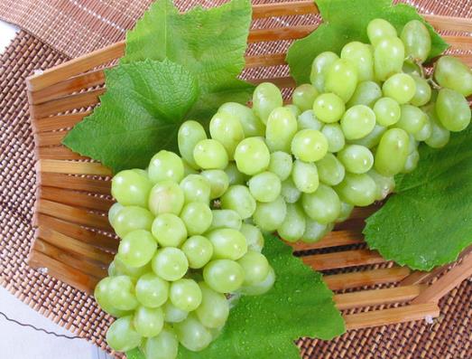 提子可以在水里泡一夜嗎?常溫下提子封閉好還是開口好