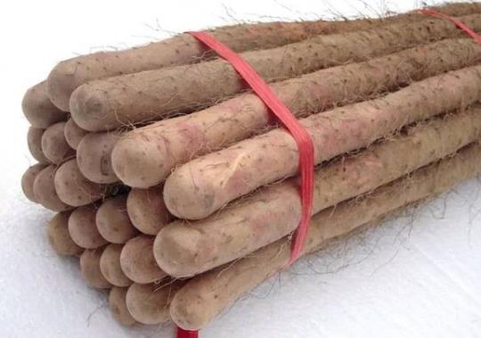 山藥干可以直接吃嗎?吃發(fā)芽的山藥會(huì)怎樣?