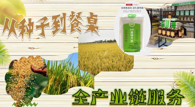 立足生態(tài)農(nóng)業(yè),發(fā)揚食養(yǎng)文化——領(lǐng)尚食方緣的食養(yǎng)方法論
