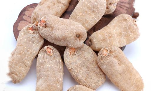 吃了天麻大便會(huì)是黑的嗎 天麻吃多了會(huì)怎么樣