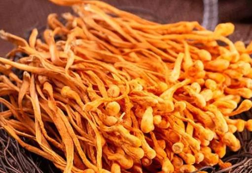 孕婦可以吃蟲(chóng)草菇嗎?蟲(chóng)草菇和什么一起吃好?