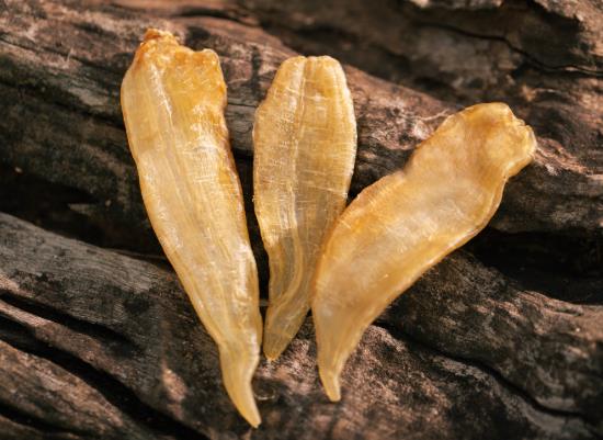 花膠要泡多久為最佳?花膠是40頭的好還是60頭的好?