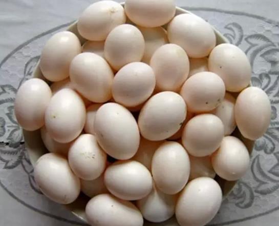 鴿子蛋煮出來(lái)是綠色的是怎么回事?鴿子蛋煮熟了是軟的嗎