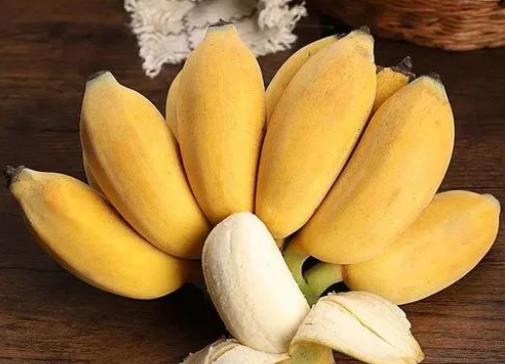 蘋(píng)果蕉是怎么種出來(lái)的?蘋(píng)果蕉和小米蕉有什么區(qū)別