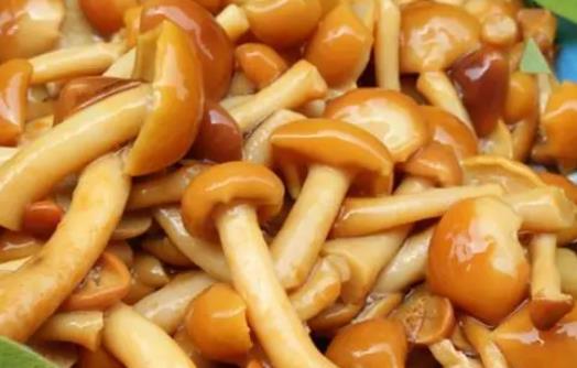 滑子菇是什么?孕婦可以吃滑子菇嗎?