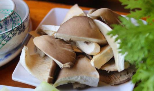 痛風(fēng)可以吃平菇嗎?平菇和什么一起吃好?