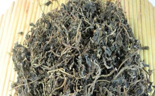 如何快速曬干馬齒莧?馬齒莧洗頭能變黑嗎?