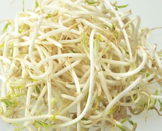 吃了沒熟的綠豆芽怎么辦?豆芽為什么會長葉子