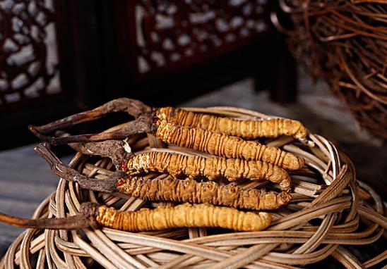 蟲(chóng)草發(fā)霉是什么原因?蟲(chóng)草發(fā)霉洗干凈了可以吃嗎