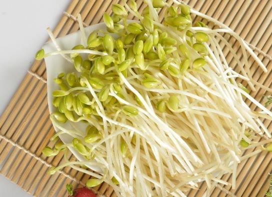 吃了沒熟的綠豆芽怎么辦?豆芽為什么會長葉子