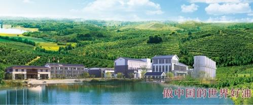 花深里特級(jí)有機(jī)鮮榨山茶油 只為國(guó)人吃的健康更安心