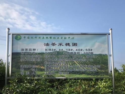 花深里特級(jí)有機(jī)鮮榨山茶油 只為國(guó)人吃的健康更安心
