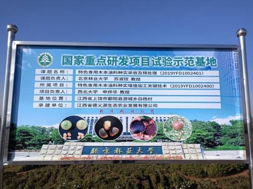 花深里特級(jí)有機(jī)鮮榨山茶油 只為國(guó)人吃的健康更安心