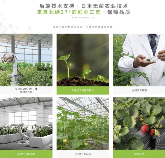 道同漢方溯源行動 致力打造真溯源、真綠色、全封閉式的產(chǎn)業(yè)平臺