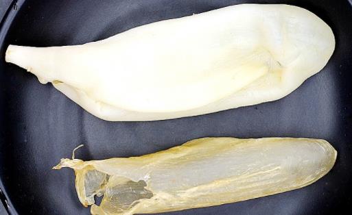 花膠是不是放的時間越長越好 花膠怎么弄才沒有腥味