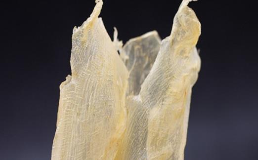 花膠是天天吃還是隔幾天吃比較好 吃多了花膠會嘌呤高嗎