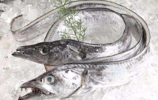 帶魚(yú)表面銀色需要去掉嗎 帶魚(yú)會(huì)導(dǎo)致過(guò)敏嗎