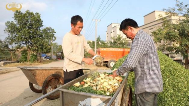 真摩菈:高營(yíng)養(yǎng)低負(fù)擔(dān),水牛奶“輕”飲新選擇