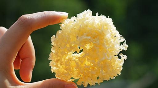 銀耳一般泡幾個小時為好 銀耳長時間泡發(fā)好不好