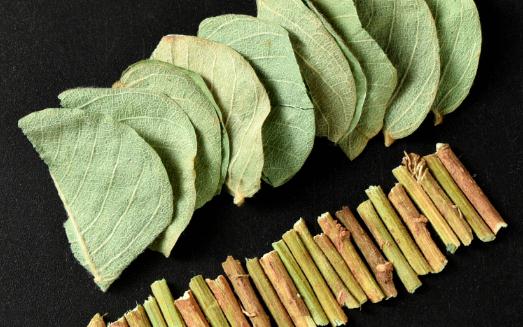 金錢(qián)草吃多久才能排腎結(jié)石 長(zhǎng)期用金錢(qián)草泡水喝有什么副作用
