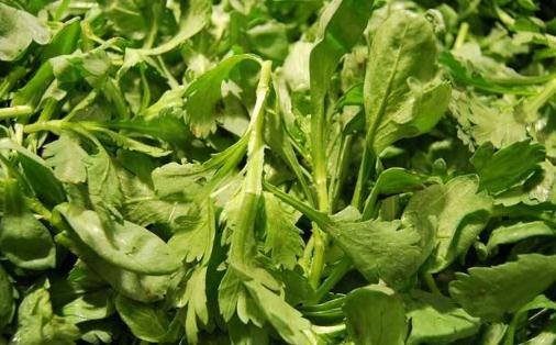 過(guò)敏體質(zhì)能吃茼蒿菜嗎 長(zhǎng)期吃茼蒿有什么副作用嗎