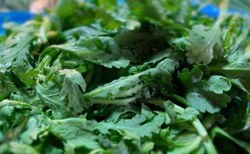 過(guò)敏體質(zhì)能吃茼蒿菜嗎 長(zhǎng)期吃茼蒿有什么副作用嗎