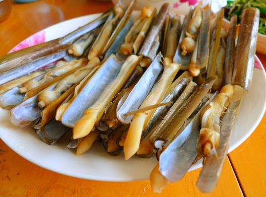 蟶子要吐沙子嗎?蟶子為什么不能直接挖出來